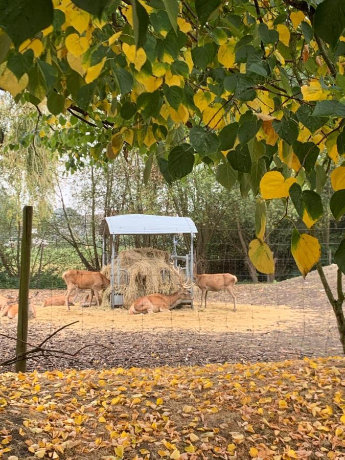 B&B Kleinen Bosch Beveren  Bagian luar foto